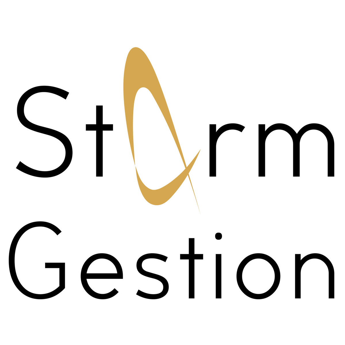 STORM GESTION (Administrateur de biens (TLN))