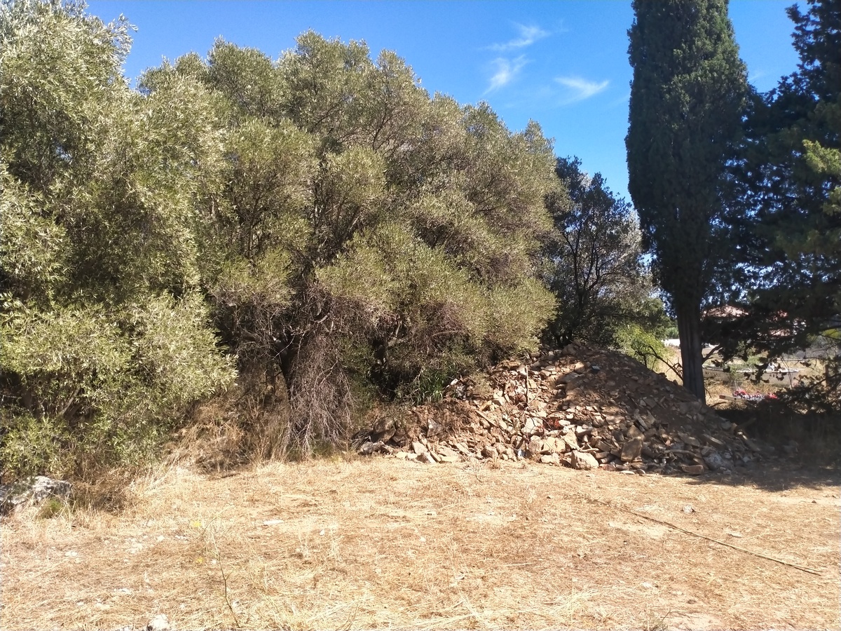 Terrain - La Ciotat